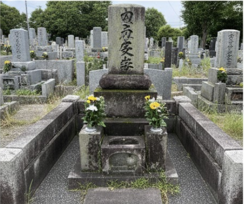 全景の清掃後写真